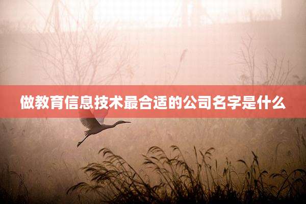 做教育信息技术最合适的公司名字是什么