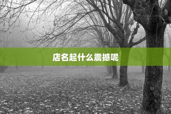 店名起什么震撼呢