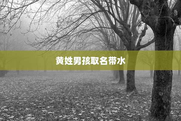 黄姓男孩取名带水