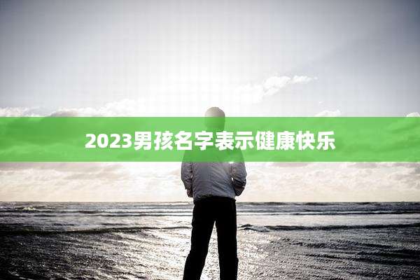 2023男孩名字表示健康快乐