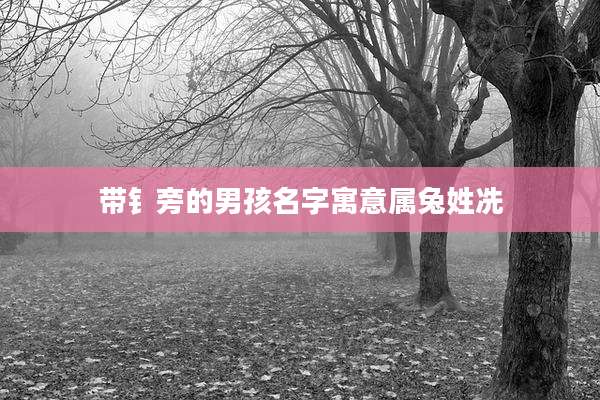 带钅旁的男孩名字寓意属兔姓冼