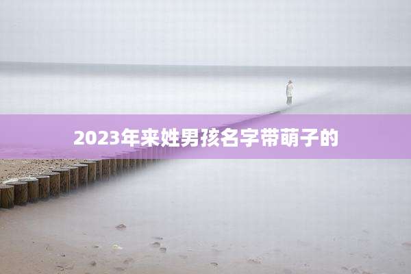 2023年来姓男孩名字带萌子的
