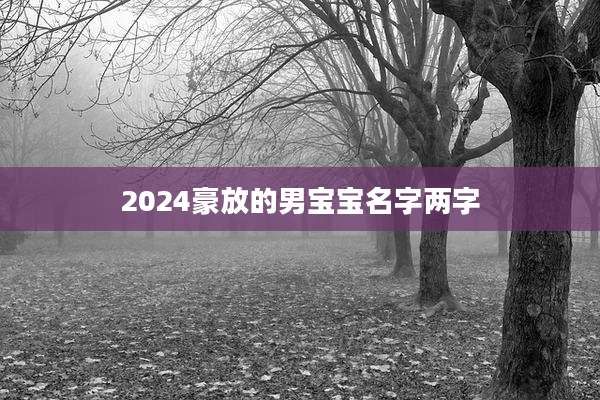 2024豪放的男宝宝名字两字