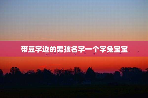 带豆字边的男孩名字一个字兔宝宝