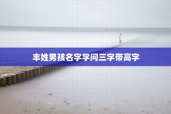 丰姓男孩名字学问三字带高字
