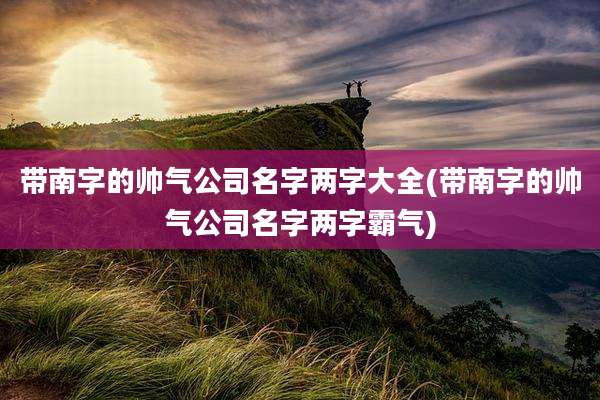 带南字的帅气公司名字两字大全(带南字的帅气公司名字两字霸气)