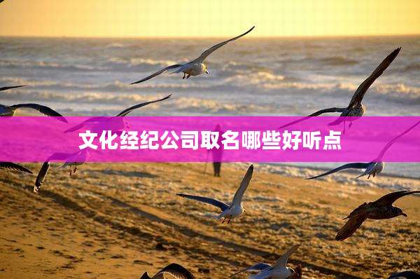 文化经纪公司取名哪些好听点