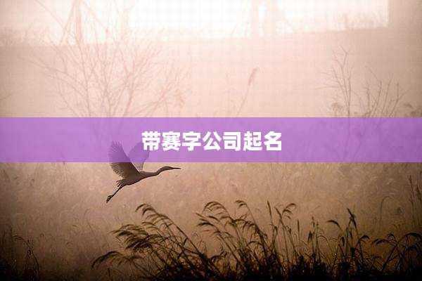 带赛字公司起名