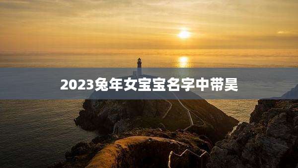 2023兔年女宝宝名字中带昊