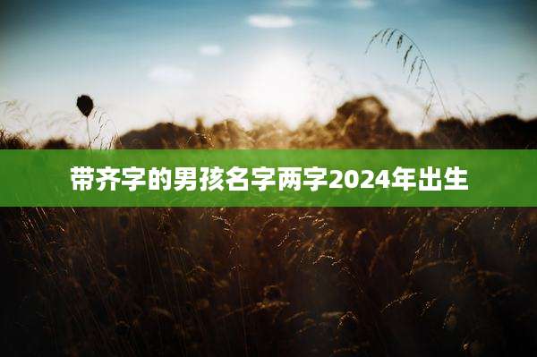 带齐字的男孩名字两字2024年出生