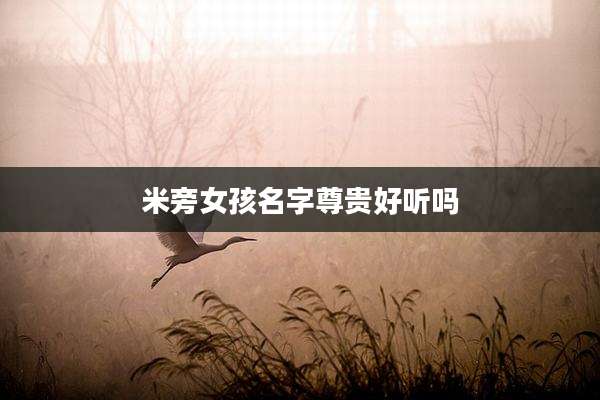 米旁女孩名字尊贵好听吗