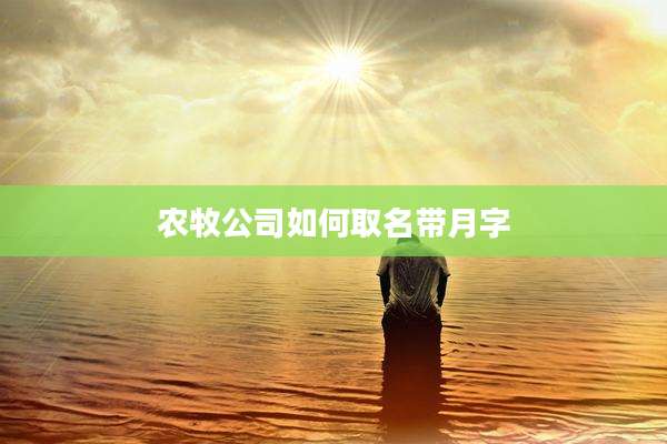 农牧公司如何取名带月字