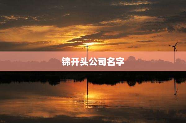 锦开头公司名字