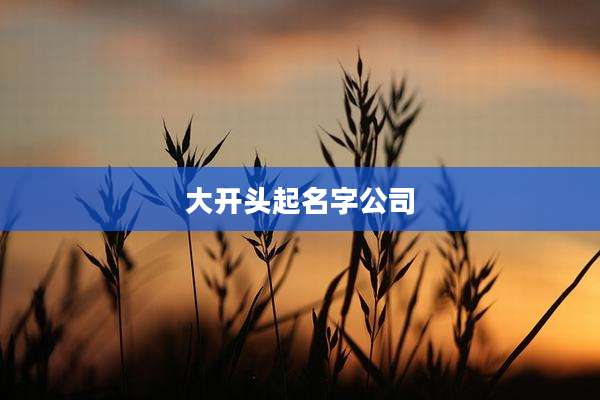 大开头起名字公司