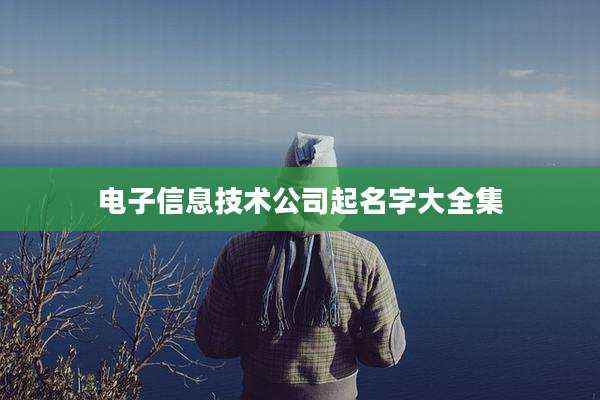 电子信息技术公司起名字大全集