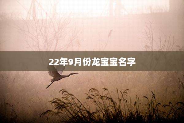 22年9月份龙宝宝名字
