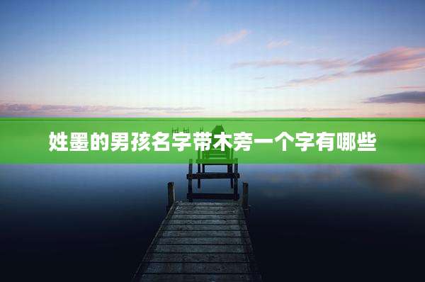 姓墨的男孩名字带木旁一个字有哪些