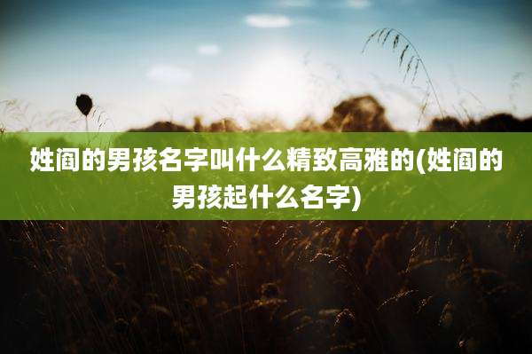 姓阎的男孩名字叫什么精致高雅的(姓阎的男孩起什么名字)