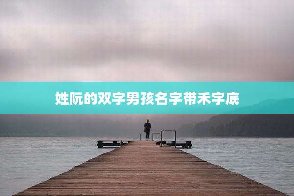 姓阮的双字男孩名字带禾字底