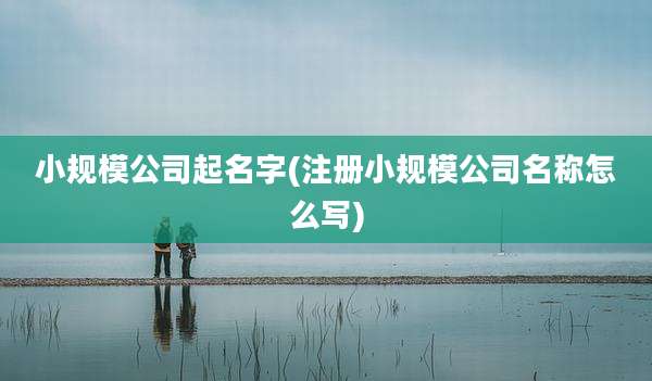 小规模公司起名字(注册小规模公司名称怎么写)