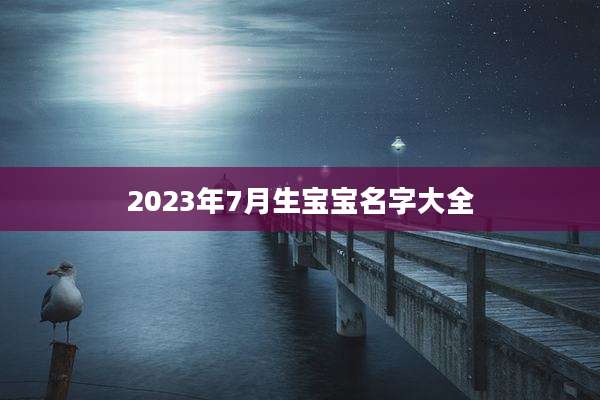 2023年7月生宝宝名字大全