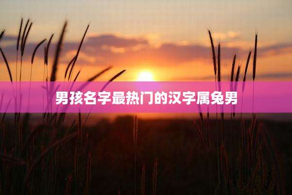 男孩名字最热门的汉字属兔男