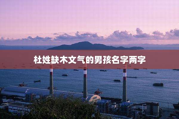 杜姓缺木文气的男孩名字两字