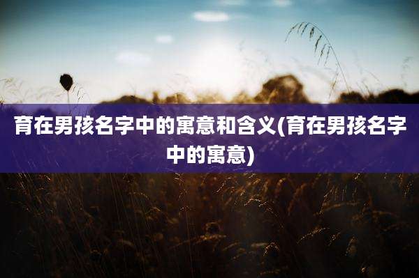 育在男孩名字中的寓意和含义(育在男孩名字中的寓意)