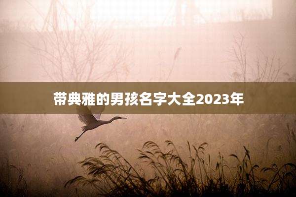 带典雅的男孩名字大全2023年