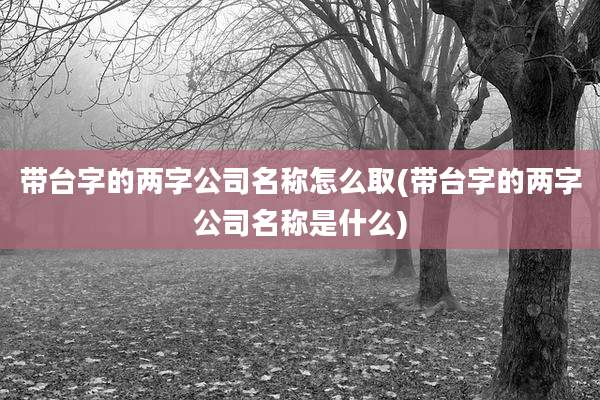 带台字的两字公司名称怎么取(带台字的两字公司名称是什么)