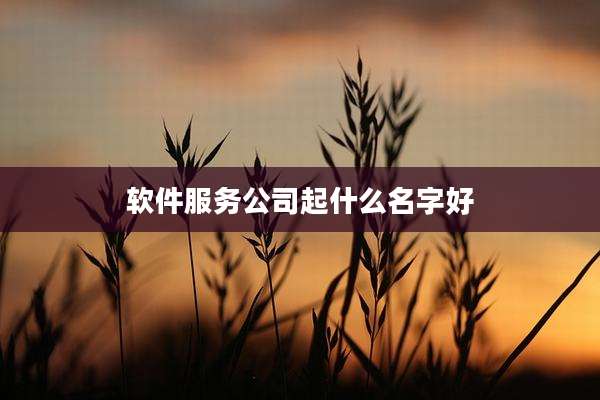 软件服务公司起什么名字好
