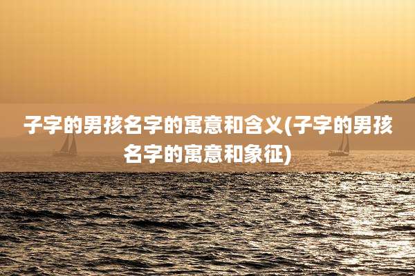 子字的男孩名字的寓意和含义(子字的男孩名字的寓意和象征)