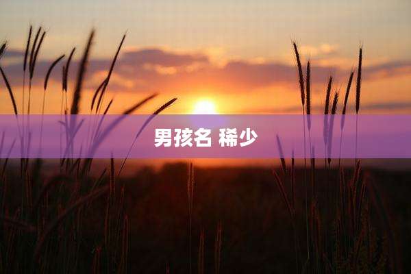 男孩名 稀少