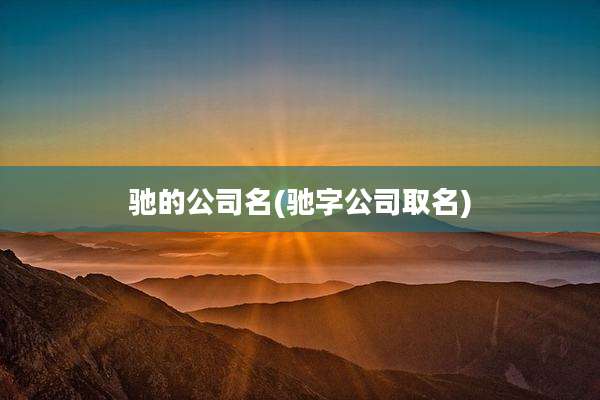 驰的公司名(驰字公司取名)