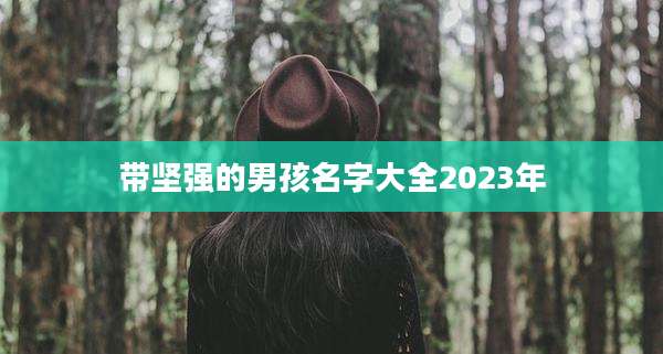 带坚强的男孩名字大全2023年