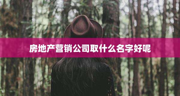 房地产营销公司取什么名字好呢