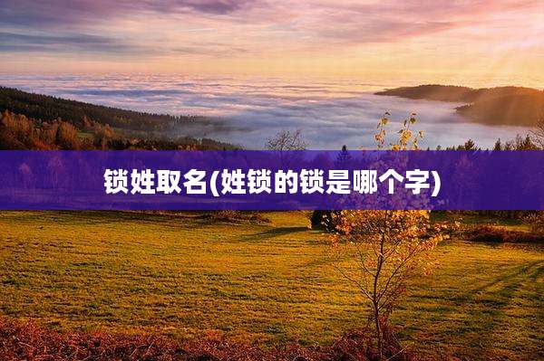 锁姓取名(姓锁的锁是哪个字)