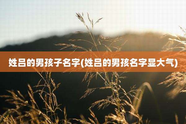 姓吕的男孩子名字(姓吕的男孩名字显大气)