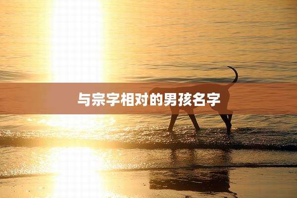 与宗字相对的男孩名字