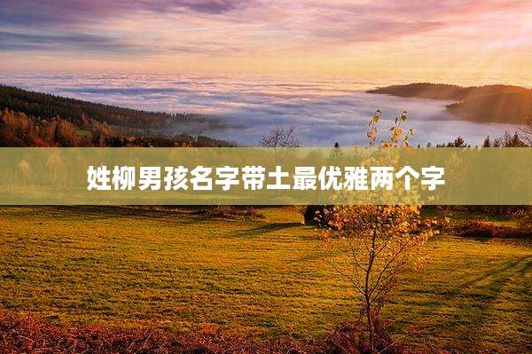 姓柳男孩名字带土最优雅两个字