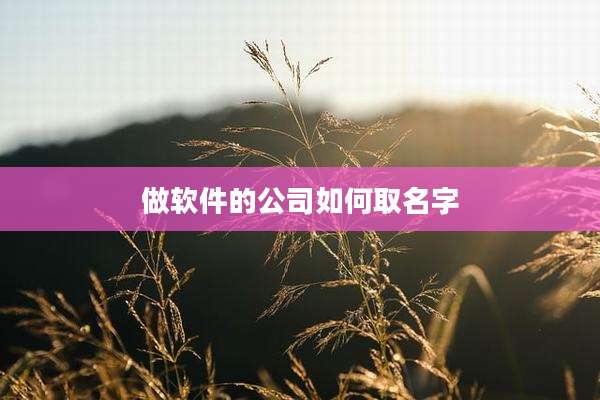 做软件的公司如何取名字