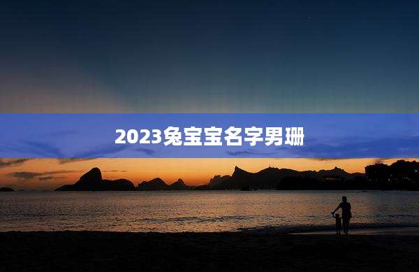 2023兔宝宝名字男珊