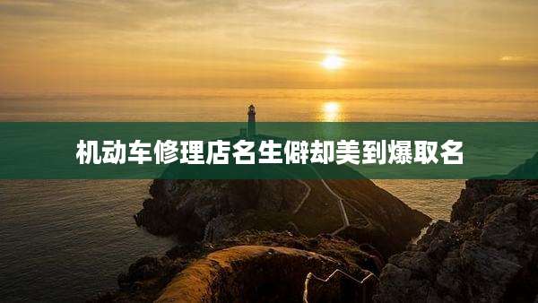 机动车修理店名生僻却美到爆取名