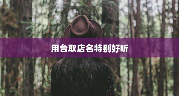 用台取店名特别好听