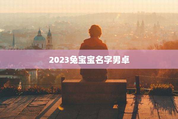 2023兔宝宝名字男卓