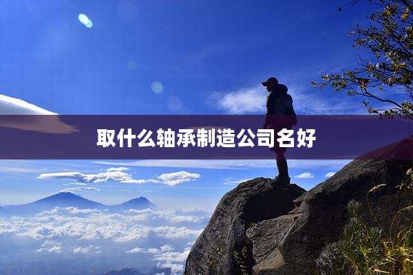 取什么轴承制造公司名好