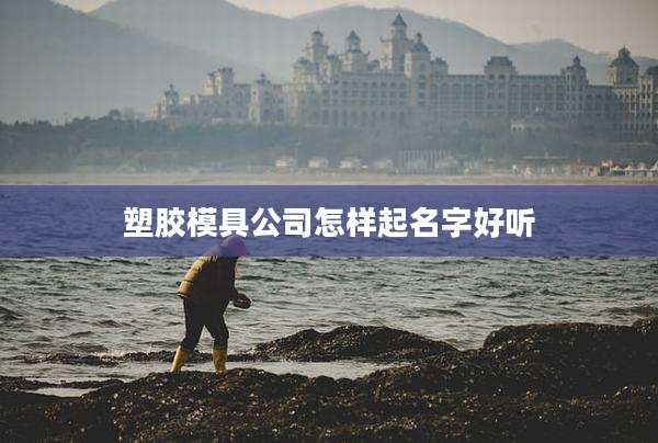 塑胶模具公司怎样起名字好听