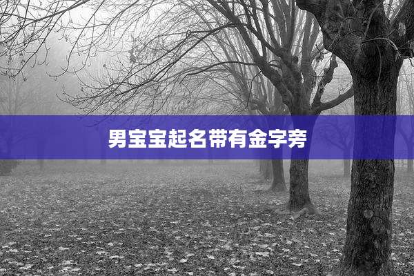 男宝宝起名带有金字旁