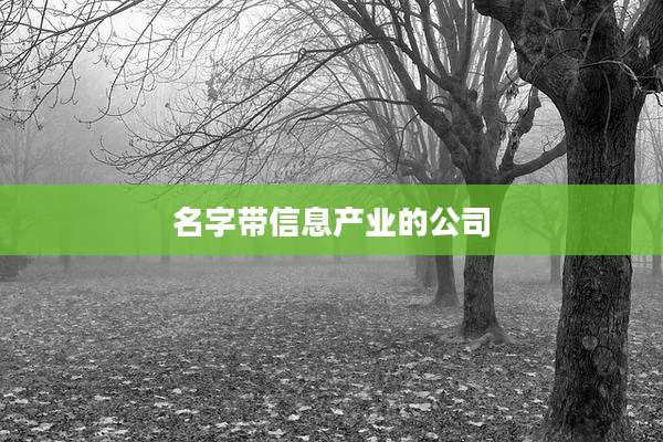 名字带信息产业的公司