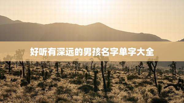 好听有深远的男孩名字单字大全